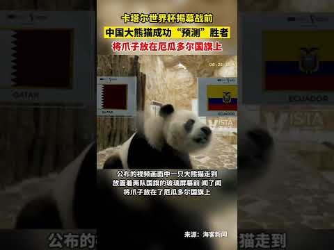 中国首座高,风速海域海,上光伏项目,征途国际,征途国际入口,征途国际官网,征途国际官方入口,征途国际官方网址