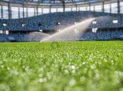 沙特门神,红牌未影响,中国队格局,征途国际,征途国际入口,征途国际官网,征途国际官方入口,征途国际官方网址